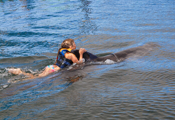 little girl and dolphin in the pool