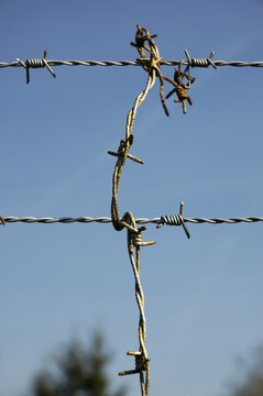 Die Oberseite eines Gartenzauns ist mit Stacheldraht ergaenzt