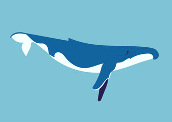 Obraz premium Baleine dans la mer