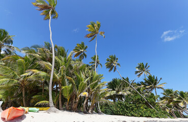The picturesque Caribbean beach , Martinique island, French West Indies.
