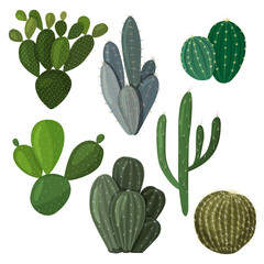 A set of cacti. Vector image in a flat style. A colorful collection of indoor cacti.