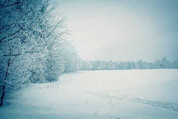 Snowcapped winter landscape