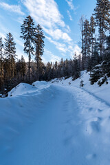 Fototapeta na wymiar winter scenery with snow covered forest road, trees and blue sky with clouds