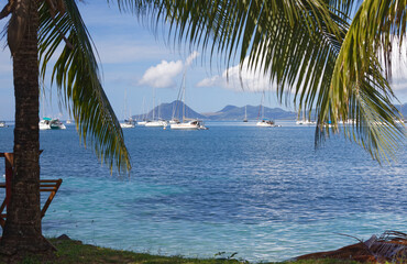 Fototapeta na wymiar The picturesque Caribbean beach , Martinique island, French West Indies.