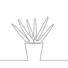 Aloe vera isolated on white background. Continuous one line drawing. Vector illustration in line art style.