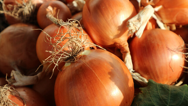 Produce at fruit and vegetable market