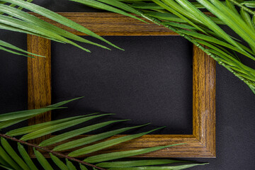Tropical palm leaves background