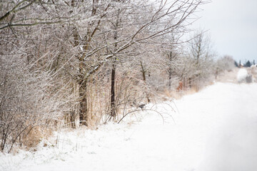 Winterlandschaft mit Schnee