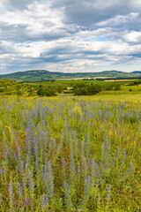 Fototapeta premium Spring landscape in Palava near Dolni Dunajovice, Southern Moravia, Czech Republic