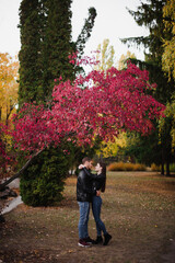 Fototapeta premium The guy with the girl lovers walk in the park autumn