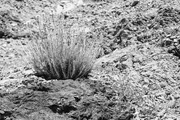 Elba, eine Insel im Mittelmeer