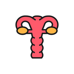 Uterus, cervix, ovaries, vagina, human organ flat color line icon.
