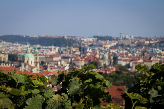 Vistas difuminadas de Praga desde los alrededores