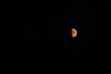first quarter moon on the night sky seen trough brightly clouds during summer season
