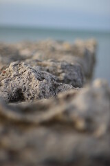 Ruins of an ancient Greek city by the sea. Chersonesos. The ancient city. Black Sea.