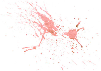 Obraz na płótnie Canvas Vector watercolor stain in coral color