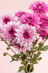 A close-up shot of a dahlia in full bloom