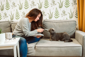 A young woman in a cozy sweater is sitting on the couch in front of a laptop, a grey cat of the Scottish Fold breedis sitting next to her