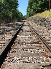 Naklejka premium railroad tracks in the countryside