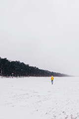 Minimalism winter beach and lonely human, snow day.
Śnieżny dzień, zimowy spacer na plaży. - obrazy, fototapety, plakaty