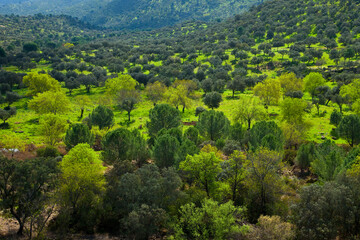 Parque Natural Sierra de Andújar, Jaen, Andalucía, España