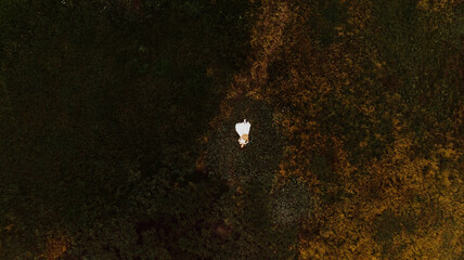 Young beautiful woman in boho style dress and hat lies on the grass. Photo from a drone of a girl on the grass.