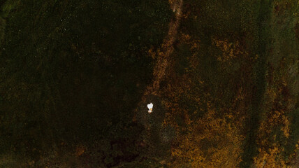 Young beautiful woman in boho style dress and hat lies on the grass. Photo from a drone of a girl on the grass.