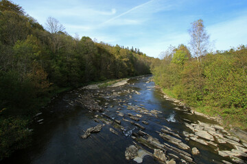 Wetlina river in the forest near Jaworzec - former and abandoned village in Bieszczady Mountains, Poland 