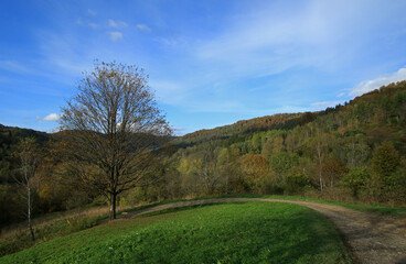 Landscape of Jaworzec - former and abandoned village in Bieszczady Mountains, Poland 