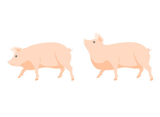 豚のイラスト素材