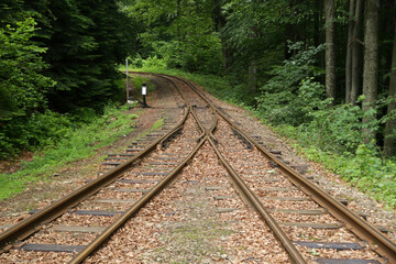 Obraz premium Railroad tracks in the forest of Beniowa - former and abandoned village in Bieszczady Mountains, Poland 