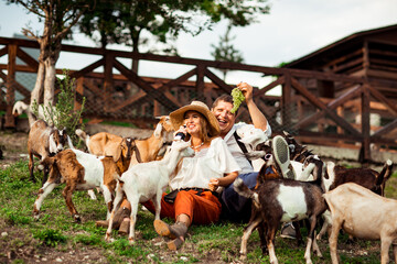 happy family, a man and a woman in a hat, relaxing and laughing on a farm, surrounded by goats, on a sunny day