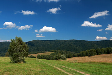 Fototapeta na wymiar Landscape of Krywe - former and abandoned village in Bieszczady Mountains, Poland 