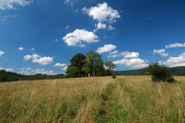 Obraz premium Landscape of Krywe - former and abandoned village in Bieszczady Mountains, Poland 