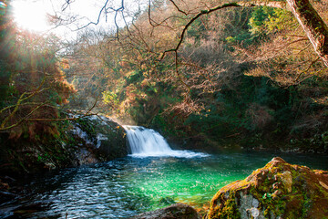 Idílica cascada desciende hasta un precioso y pequeño lago en medio del bosque