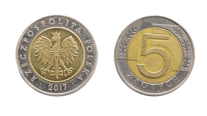 Polish 5 zloty coin on a white background