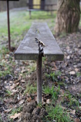 wooden cross in the park