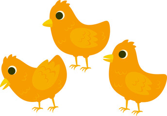 A set of yellow little chickens. Vector illustration in flat style