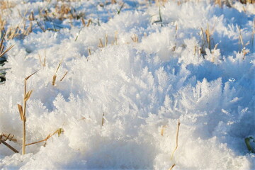 Furry snowy crystals