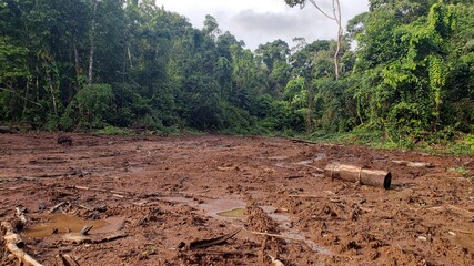 Deforestación en amazonas