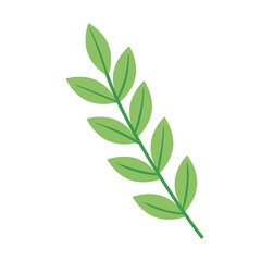 branch with leafs ecology nature icon vector illustration design