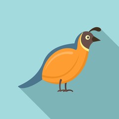 Quail bird icon. Flat illustration of quail bird vector icon for web design