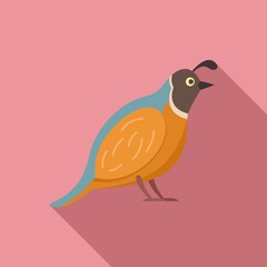 Quail chicken icon. Flat illustration of quail chicken vector icon for web design
