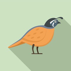 Quail farm icon. Flat illustration of quail farm vector icon for web design