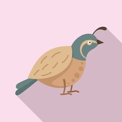 Quail farm icon. Flat illustration of quail farm vector icon for web design