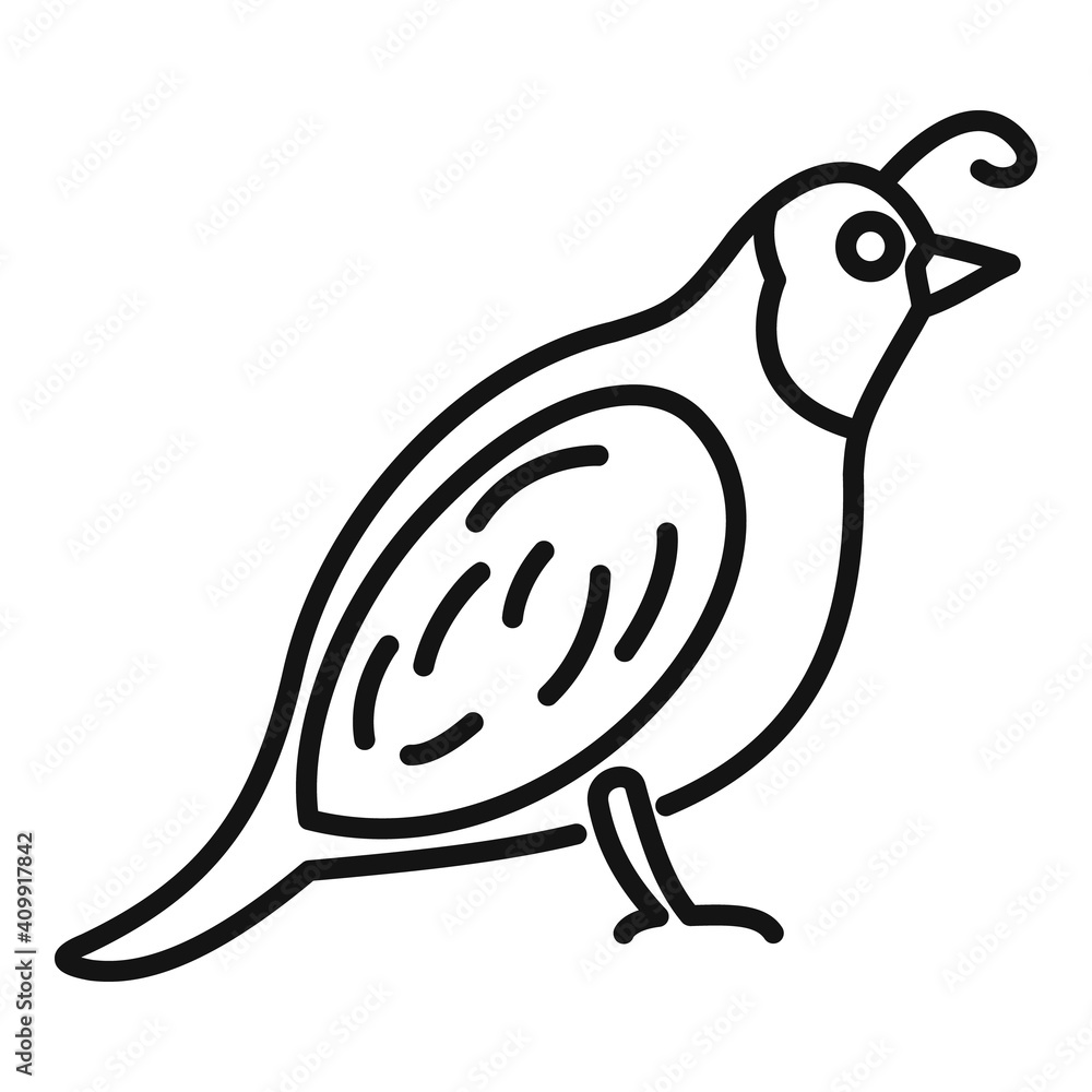 Poster quail chicken icon. outline quail chicken vector icon for web design isolated on white background