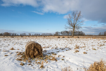 Round straw bale in a snow covered field. Winter landscape in northern Poland