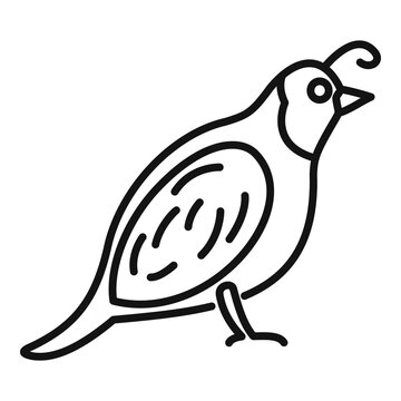 recommend clip art: Quail chicken icon. Outline quail chicken vector icon for web design isolated on white background