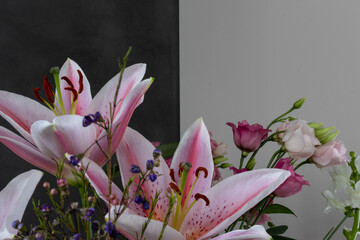 Pink flowers against a gray background 