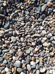 Backgrounds and textures: colorful, not large sea pebbles. Space for the text.